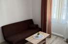 Apartament de inchiriat 2 camere zona Cedonia - 8