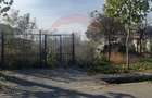 Teren 1495 mp Buftea Flamanzeni toate utilitatile - 4