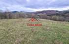 Teren extravilan Valea Doftanei 20.500 mp 6e mp - 5