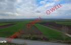 Teren intravilan de vanzare in Bicfalau! - 5