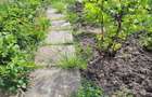 Teren 2712 mp Mischii, sat. Urechesti, Str Florilor, Nr. 56 - INTRAVILAN - 1