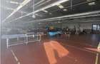 Vand (Inchiriez) Hala Industriala 2000 mp Teren 4293 mp - 9