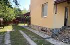 Casa de vanzare-Sighetu Marma?iei -zona ultracentrala - 8