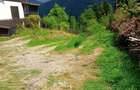 Tirul cu porumbei, Sinaia - 1