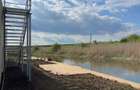 Vila cu deschidere Lac Snagov - Green Future Snagov - 4