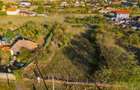 Teren Construcții intravilan de 1472 mp, în Sâmbăteni - 15