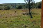 Vand casa + teren 5500mp Cacica, Langa Suceava - 7