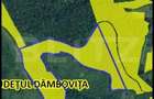 Teren extravilan 16 ha cu padure ?i vedere panoramica Razvad - 2