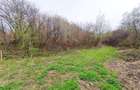 1.700mp intravilan,acces usor,intre case,ideal 2 locuinte/investitie,Lunca Calni - 14