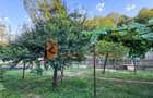 Casa tip parter zona Sarata Monteoru - 5