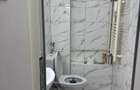 Ofer spre inchiriere doua apartamente in Radauti - 8
