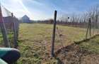 Vand teren intravilan in Branesti Ilfov - 3