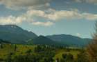 Teren de vanzare 7649 mp - zona Sandru (Bucovina) - 1