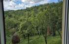 De vanzare casa cu teren intravilan livada 5700m2 - 11