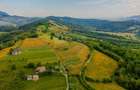 Teren Construcții de 11600 mp, în Poiana Mărului - 9