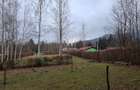 Teren deosebit pozitionat, cu livada, langa padure,  pe Valea Avrigului - 1
