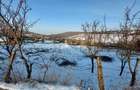 2600mp Teren Intravilan in Popricani ! Ia?i ! - 6