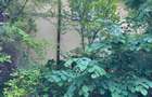 Vand sau inchiriez casa in Deva, P+E, zona Ceangai, mobilata, utilata - 1