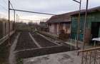 Casă cu 2 camere cu Teren 368 Mp în Viișoara - 3