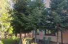 Vila Dalia Refugiu Verde in Complexul Reziden?ial S - 10