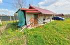 Teren extravilan in Baicoi 10.000mp plantatie mure --80.000e - 7