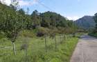 Teren intravilan Sat Voia Com. Balsa 7000mp - 6