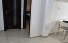 Apartament 2 camere de inchiriat- Ostroveni (zona Maidan) - 5