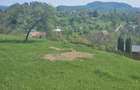 Vanzare casa pensiune P+M - 4