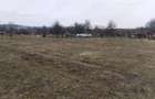 Teren de 3000 mp, în Vața de Jos - 1