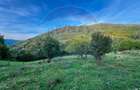 Teren agricol intravilan de 1812 mp, în Muntele Rece - 2 Teren agricol intravilan de 1812 mp, în Muntele Rece - 2