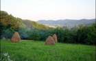 Teren extravilan de 80000 mp, în Valea Iașului - 3