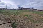 Teren Construcții de 1000 mp, în Săldăbagiu de Munte - 1