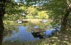 Cabana/Casuta din lemn Lac mujdeni cu ponton privat pe lac - 3