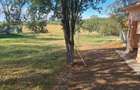 Vand casa cu teren agricol comuna spineni sat cuza voda jud olt - 1