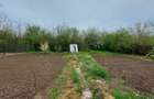 Casa caramida 60m2, teren ~600m2, Ciocanesti, Judetul Calarasi - 2