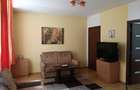 Inchiriez pentru festivalul Wibe perioada 1-6 iulie apartamente si case in Sangeorgiu de Mures si Tg. Mures - 8