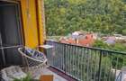 Apartament cu 2 camere semidecomandat în Platoul Izvor - 7
