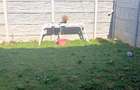 Vanzare Vila plus 100 mp Teren - 32