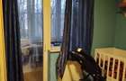 Apartament 2 camere decomandate, 52mp, balcon, zona Petrom - 1