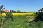 Teren intravilan 26.300 mp Saftica Balotesti - PUZ in lucru