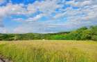 Teren intravilan de vanzare Macicasu, Chinteni | 2.900mp | - 1