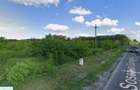 Vand teren 10.000 MP Sos. Giurgiului, intrare Ghimpati Ideal business sau depozit - 3