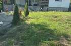 Casă cu 3 camere în Lopatnița - 1