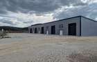 Hala metalica noua de inchiriat - 2
