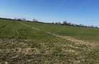 Teren de 4000 mp, în Mărtinești - 2