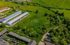 Spațiu industrial, de 700 mp, în Teliu - 11