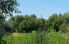 Teren intravilan de 2000 mp, în Hălchiu - 1