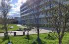 Vand apartament tip studio, excelent pt investitii, cartierul Gheorgheni - 3