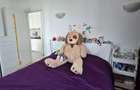 Apartament cu 2 camere semidecomandat în Titan - 5