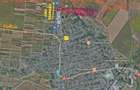 Teren intravilan 9970 mp , com. Chirnogi, jud. Calarasi (situat la 50-60 km de Bucuresti) - 7